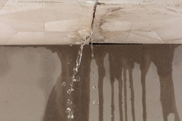 Professional Structural Drying technician working in Kingsley, MI